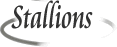 Stallions Standing